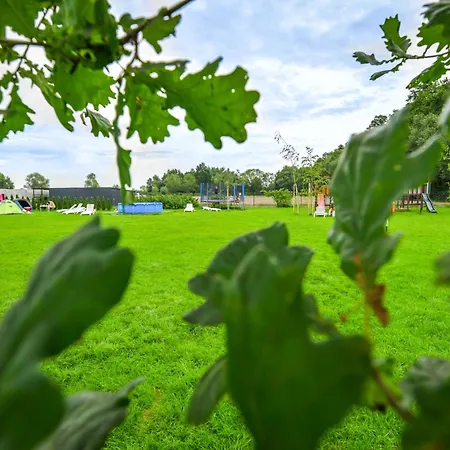 Kempingzator Namioty Campingplads